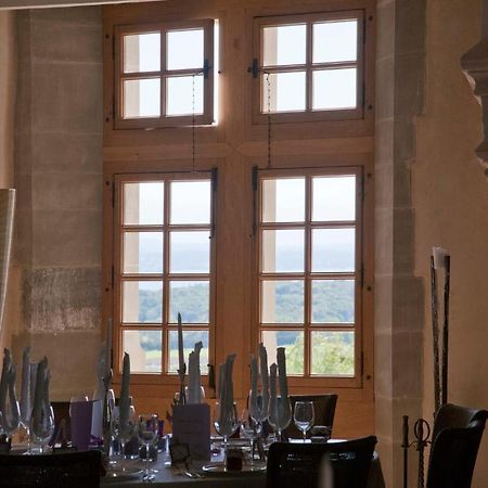 Chateau Le Rosey Hotel Nyon Esterno foto