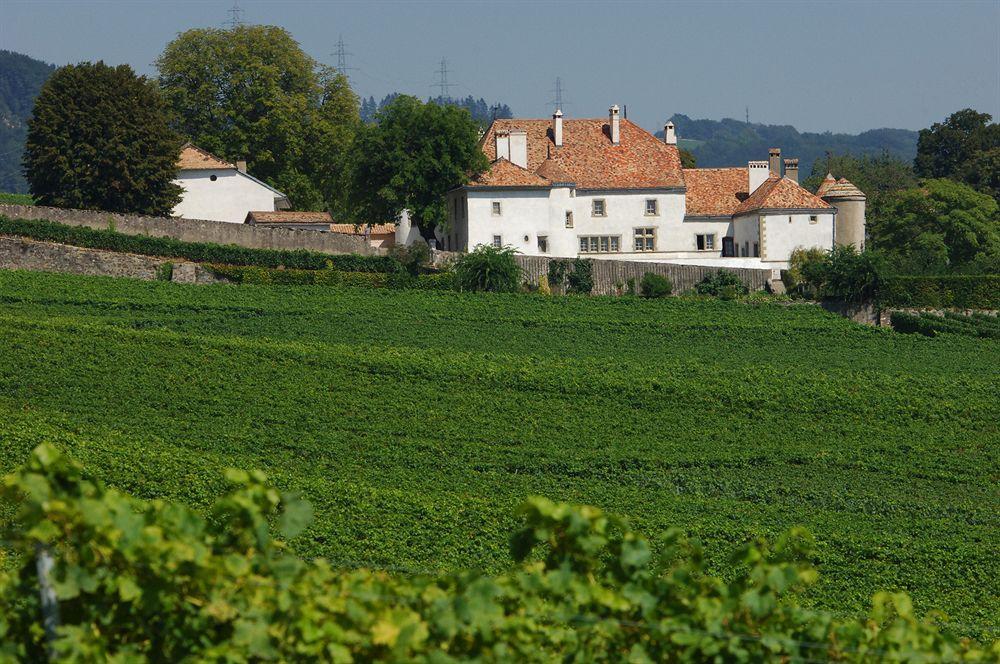 Chateau Le Rosey Hotel Nyon Esterno foto