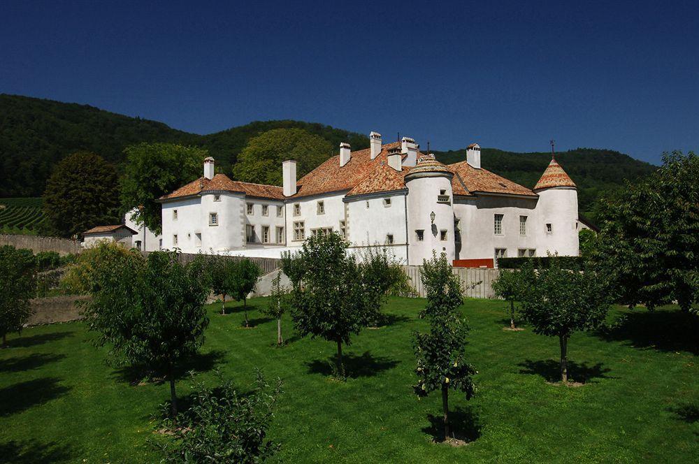 Chateau Le Rosey Hotel Nyon Esterno foto
