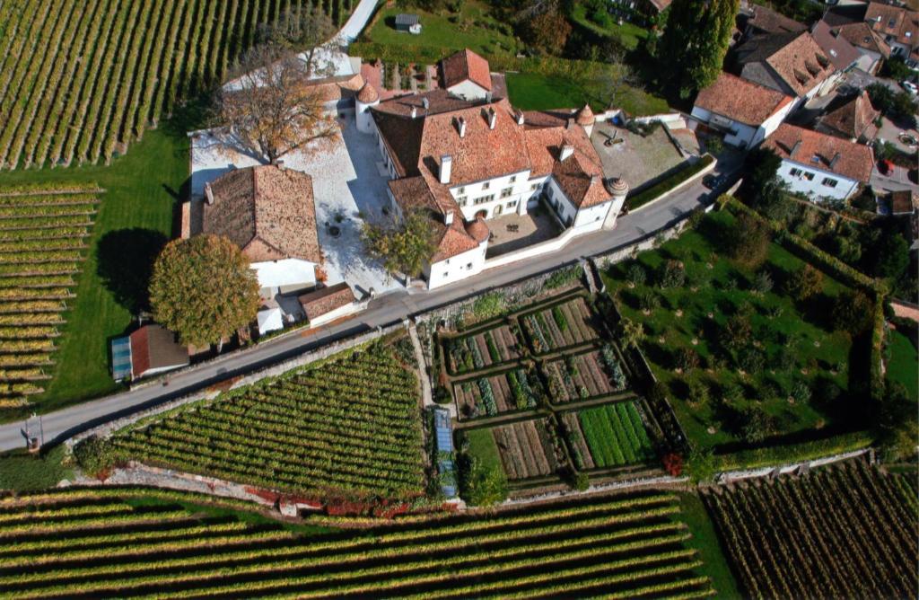 Chateau Le Rosey Hotel Nyon Esterno foto